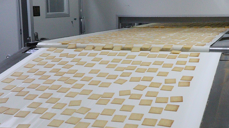 pp����-��������