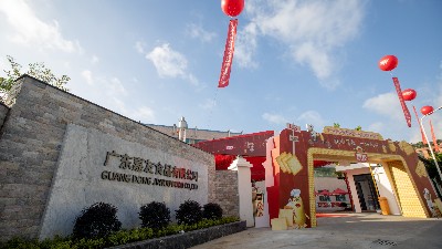 ��ݺǨ�¼���Ⱥ�ǻ�ۡ�pp���Ӷ�ʻ���ⷢչ���£�