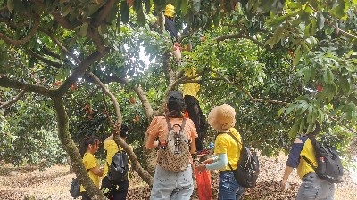 ���縣����pp������֯ժ��֦�