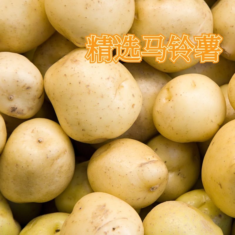 һƬһƬͣ�������������ױ��ɣ������㡢��������������